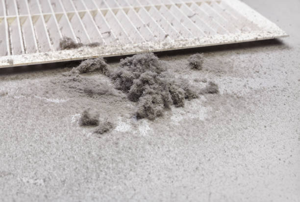 Best Professional Duct Cleaning Services  in Park Ridge, IL