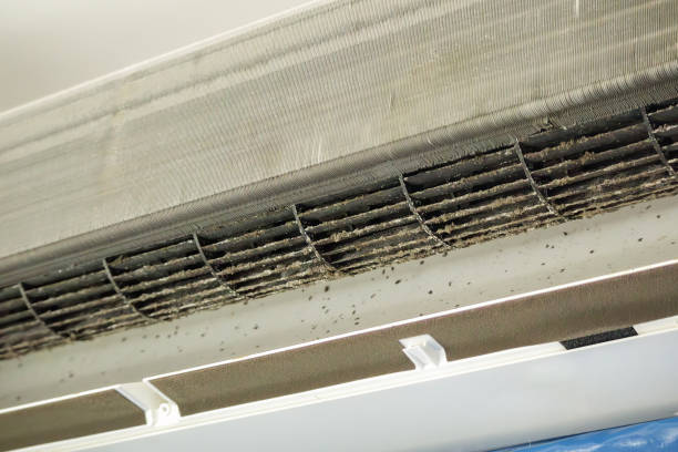 Best Air Duct Cleaning Near Me in Park Ridge, IL